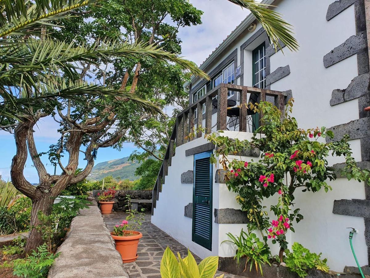 Casa Do Gato Preto Villa Santo Amaro  Exterior foto